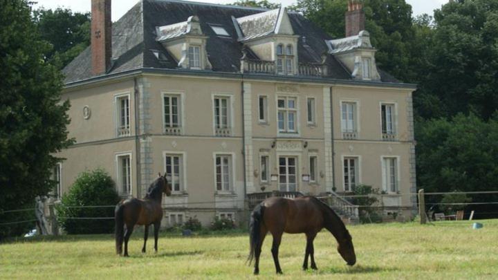 Hotel Domaine De Bel Air Cérans-Foulletourte Zewnętrze zdjęcie